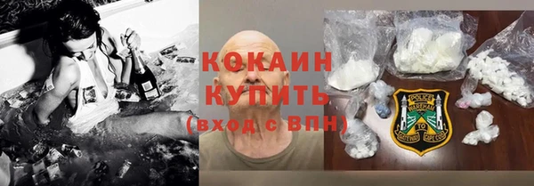 стаф Алзамай
