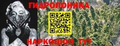гашик Балахна