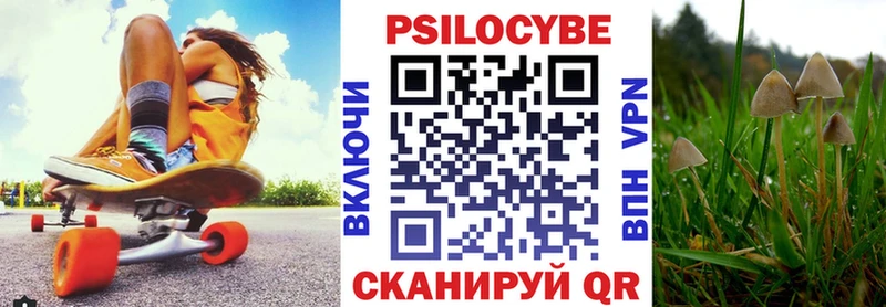 Галлюциногенные грибы MAGIC MUSHROOMS  закладка  Баксан 