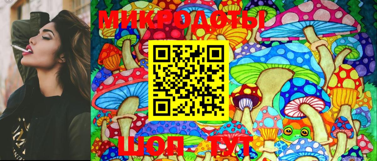 Галлюциногенные грибы Cubensis Баксан