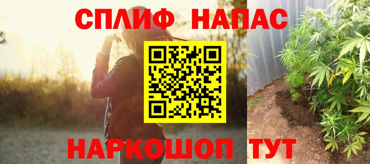 Конопля планчик Баксан